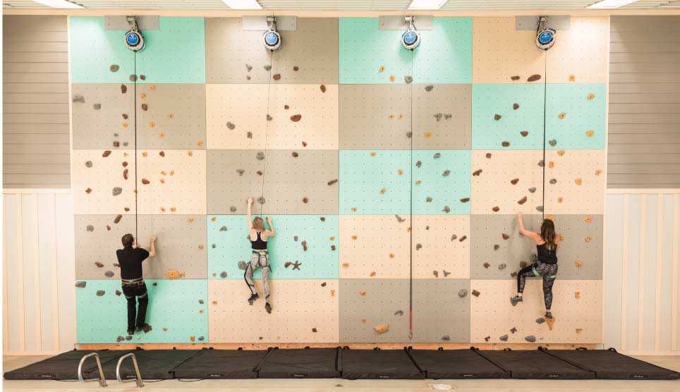 Rock Climbing Wall