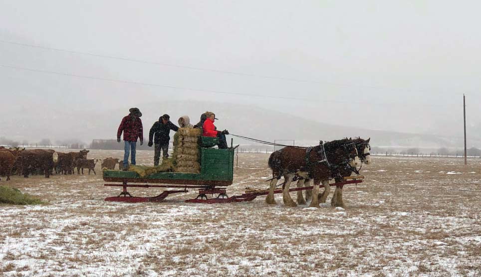 Sleigh Rides