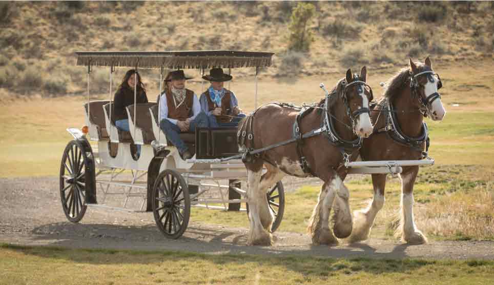 Wagon Ride